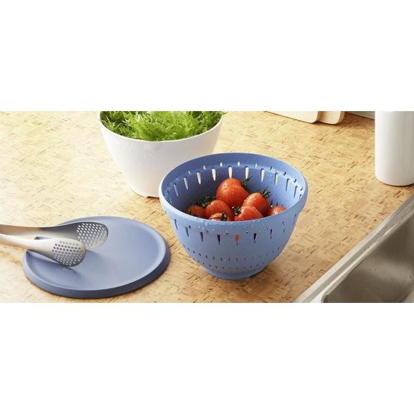 ボウル コランダー ザル セット 蓋付き Sサイズ 調理器具