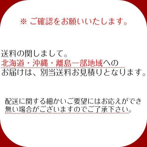 ローソファー フロアソファ リビング 2人掛け 低反発 変形マルチリクライニング｜kanaemina｜05