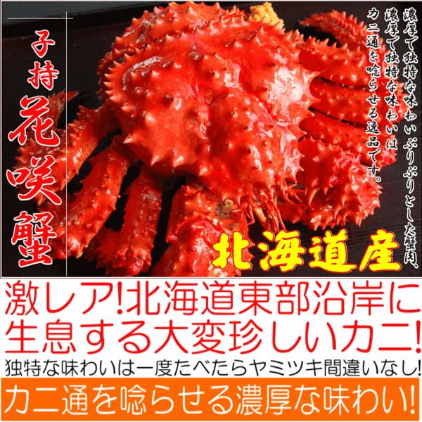 21人気の カニのデパート かなはし水産カニ かに 蟹 花咲ガニ メス 子持ち 500g 活目600g ボイル冷凍 北海道産 即納 グルメ ギフト お歳暮 年末年始 Www Colombiafocus Com