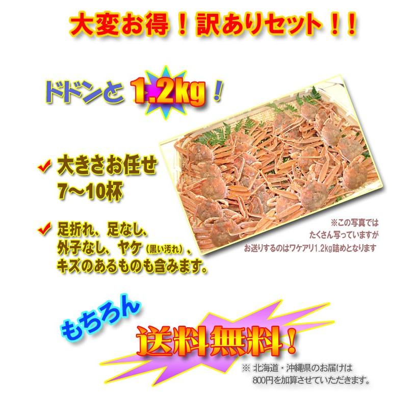 送料無料】金沢より活発送！訳ありセイコガニ1.2kgセット（香箱ガニ