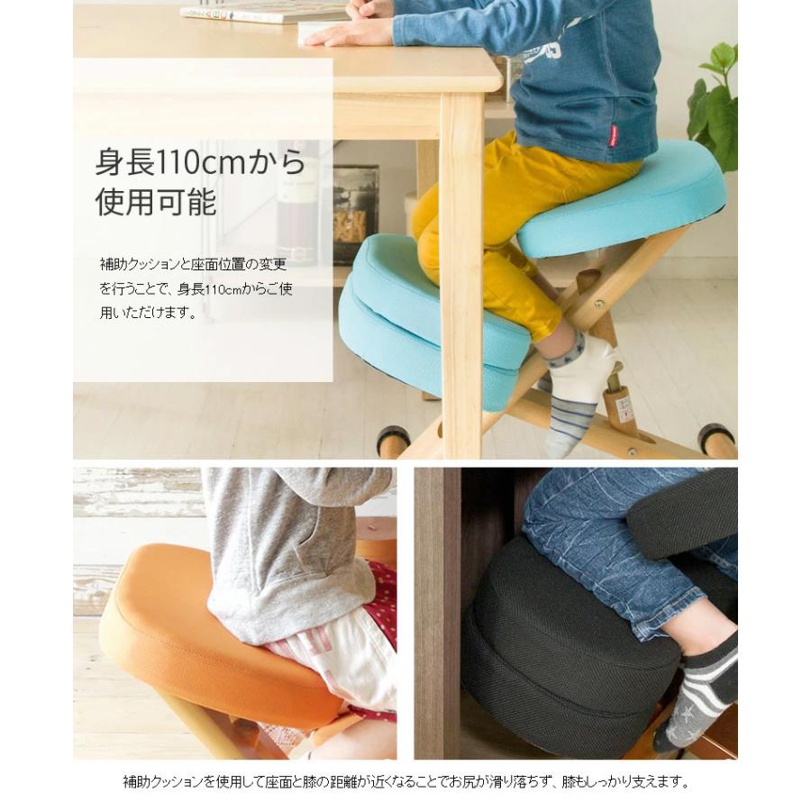 新色登場全11色 クッション付 プロポーションチェア CH-889CK 新色登場全11色 クッション付 プロポーションチェア CH-889CK