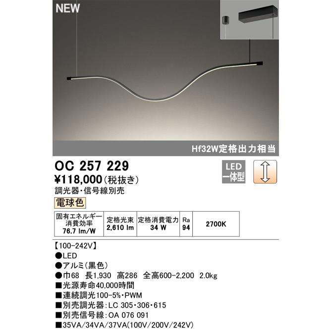 購入ユーザー ギャッベ/カシュクーリ 195x123cm 青みのあるグリーン カラフルドット