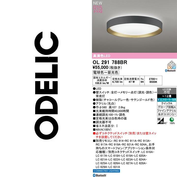 OL291788BR [チャコールグレー] 買取価格比較