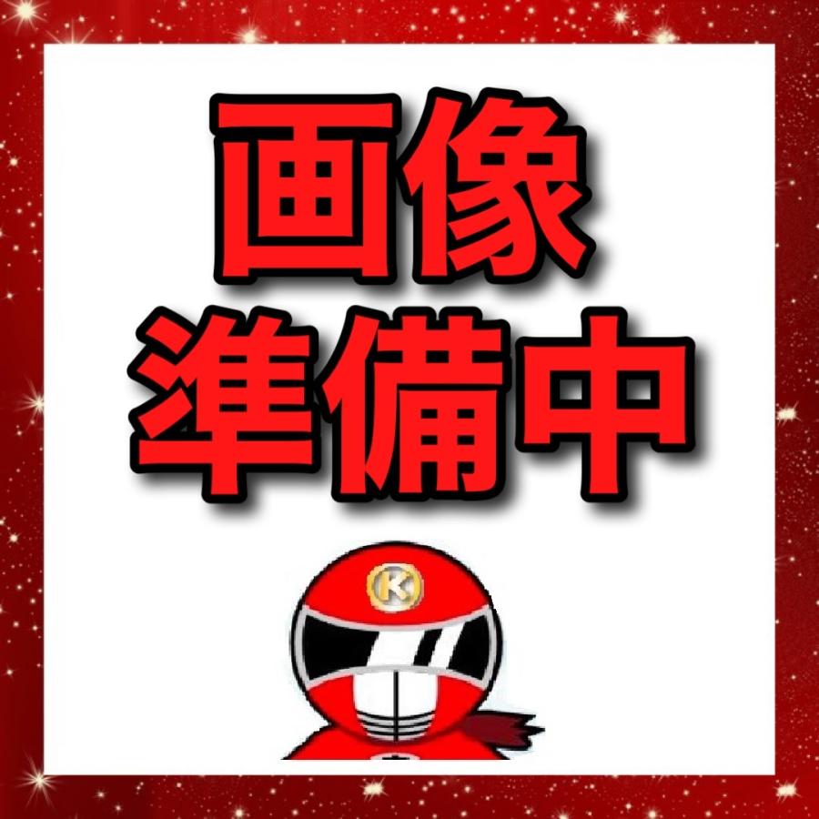 1000円 送料調整【ストアからの指示があった場合のみご注文可能】 : 住