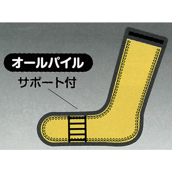 靴下 オールパイル タビ 2P ヒートテック インナー 防寒 発熱 メンズ