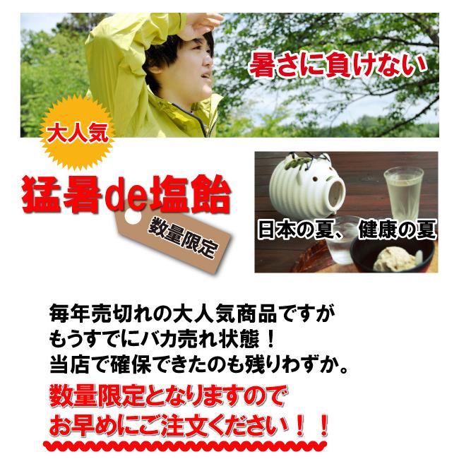 限定SALE！「お試しセット」 塩飴 業務用 1kg ×4袋 猛暑de塩飴 熱中症対策 / 梅 サイダー レモン ブルーベリー 熱中飴 大袋 イベント アウトドア 部活 送料無料 |  | 01