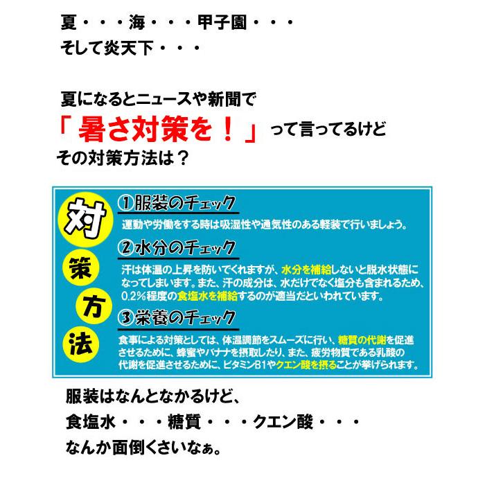 限定SALE！「お試しセット」 塩飴 業務用 1kg ×4袋 猛暑de塩飴 熱中症対策 / 梅 サイダー レモン ブルーベリー 熱中飴 大袋 イベント アウトドア 部活 送料無料 |  | 02