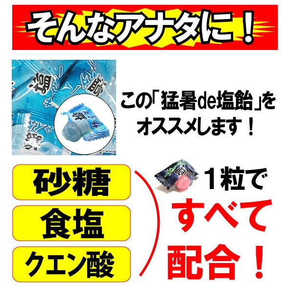 限定SALE！「お試しセット」 塩飴 業務用 1kg ×4袋 猛暑de塩飴 熱中症対策 / 梅 サイダー レモン ブルーベリー 熱中飴 大袋 イベント アウトドア 部活 送料無料 |  | 03