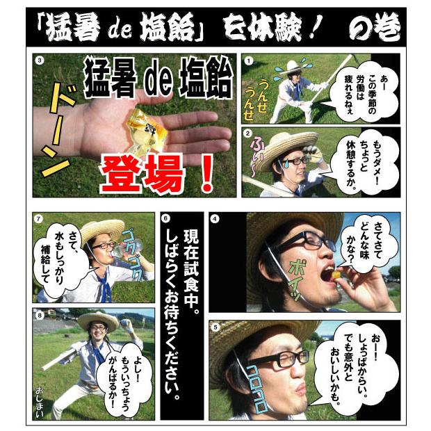 限定SALE！「お試しセット」 塩飴 業務用 1kg ×4袋 猛暑de塩飴 熱中症対策 / 梅 サイダー レモン ブルーベリー 熱中飴 大袋 イベント アウトドア 部活 送料無料 |  | 04