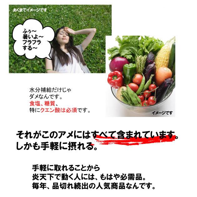 限定SALE！「お試しセット」 塩飴 業務用 1kg ×4袋 猛暑de塩飴 熱中症対策 / 梅 サイダー レモン ブルーベリー 熱中飴 大袋 イベント アウトドア 部活 送料無料 |  | 05