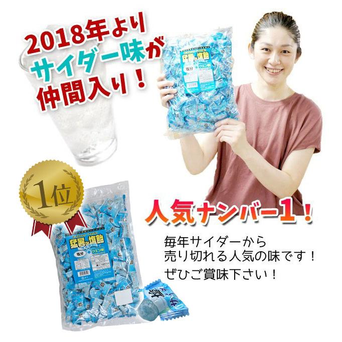 限定SALE！「お試しセット」 塩飴 業務用 1kg ×4袋 猛暑de塩飴 熱中症対策 / 梅 サイダー レモン ブルーベリー 熱中飴 大袋 イベント アウトドア 部活 送料無料 |  | 06