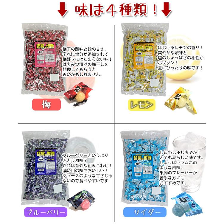 限定SALE！「お試しセット」 塩飴 業務用 1kg ×4袋 猛暑de塩飴 熱中症対策 / 梅 サイダー レモン ブルーベリー 熱中飴 大袋 イベント アウトドア 部活 送料無料 |  | 07