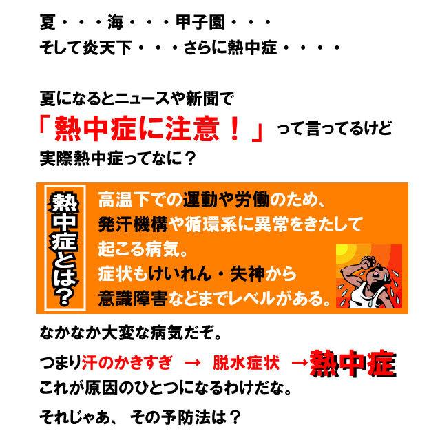 塩飴 業務用 おいしい 熱中症 対策 猛暑de塩飴1kg 塩飴 あめ アメ キャンディ キャンディー 大袋 塩分補給 イベント アウトドア 部活 スポーツ サイダー Summer12 ワークストリート 金物一番 通販 Yahoo ショッピング