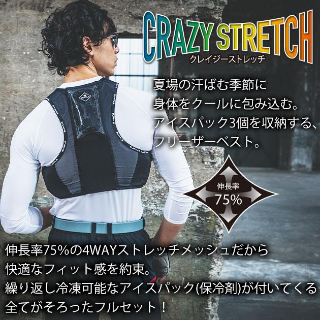 バートル　フリーザー　ベスト２着と保冷剤サイズXL 楽天市場】バートル フリーザーベスト 保冷剤 アイスパック6個