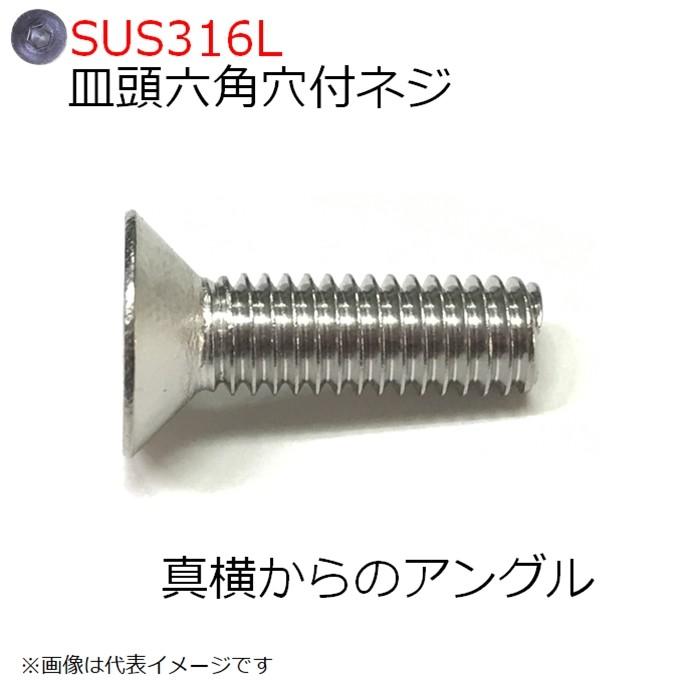 57%以上節約 SUS316L皿頭六角穴付ネジ M10x55mm 4本入り vacantboards.com 57%以上節約 SUS316L皿頭六角穴付ネジ M10x55mm 4本入り vacantboards.com