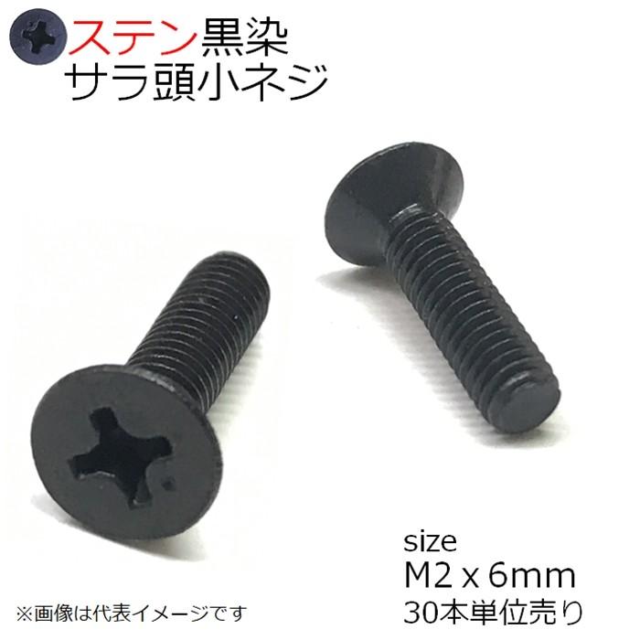 SUS 皿頭小ネジ 黒色 M2x6mm 30本入 【SALE／79%OFF】
