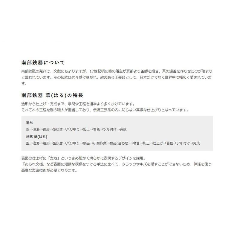 【IH対応】【送料無料】ビタクラフト VitaCraft 南部鉄 急須　華（はる）｜kanamonopro｜06