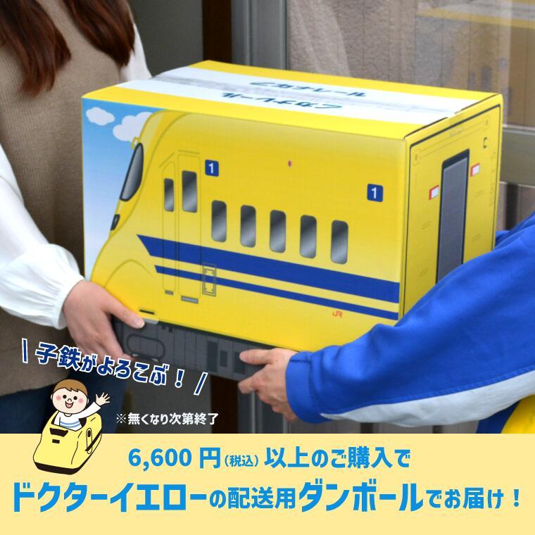 ふとんdeクッション 着後レビューで連結パーツプレゼント こだま 山手