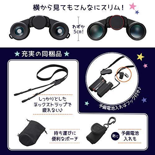 ブランド Nikon 防振双眼鏡 10x25 STABILIZED GREEN 手ブレ補正付き 10倍25口径 グリーン STB10X25GR 【UOI1085875510】(38563円)