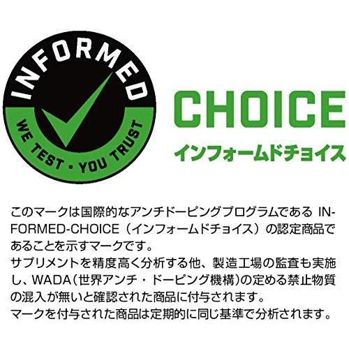 DNS/プロテインホエイ100/レモン風味/3150g 