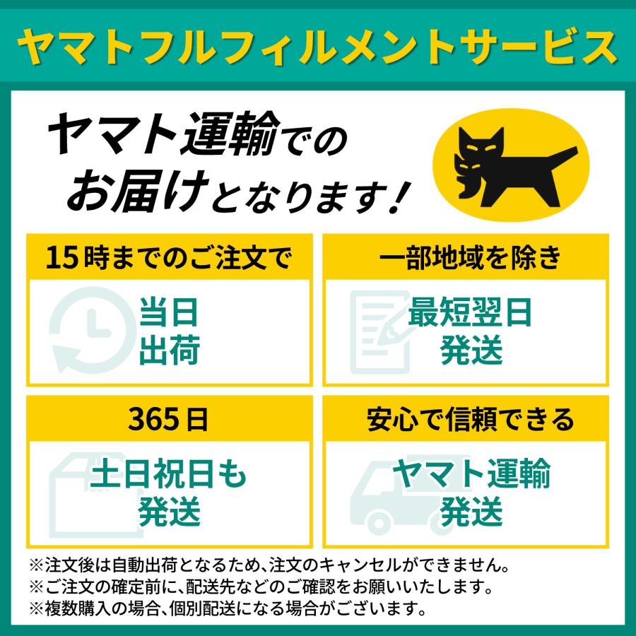 ナンバープレートフレーム カバー パーツ 普通車 軽自動車 用品 リア アクセサリー ブラック カーボン シルバー 黒 銀 封印 新基準 1枚 | ブランド登録なし | 09