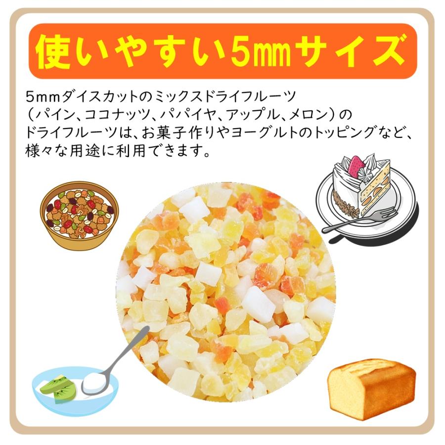 5種ミックスドライフルーツ 業務用サイズ 1kg パイン、マンゴ