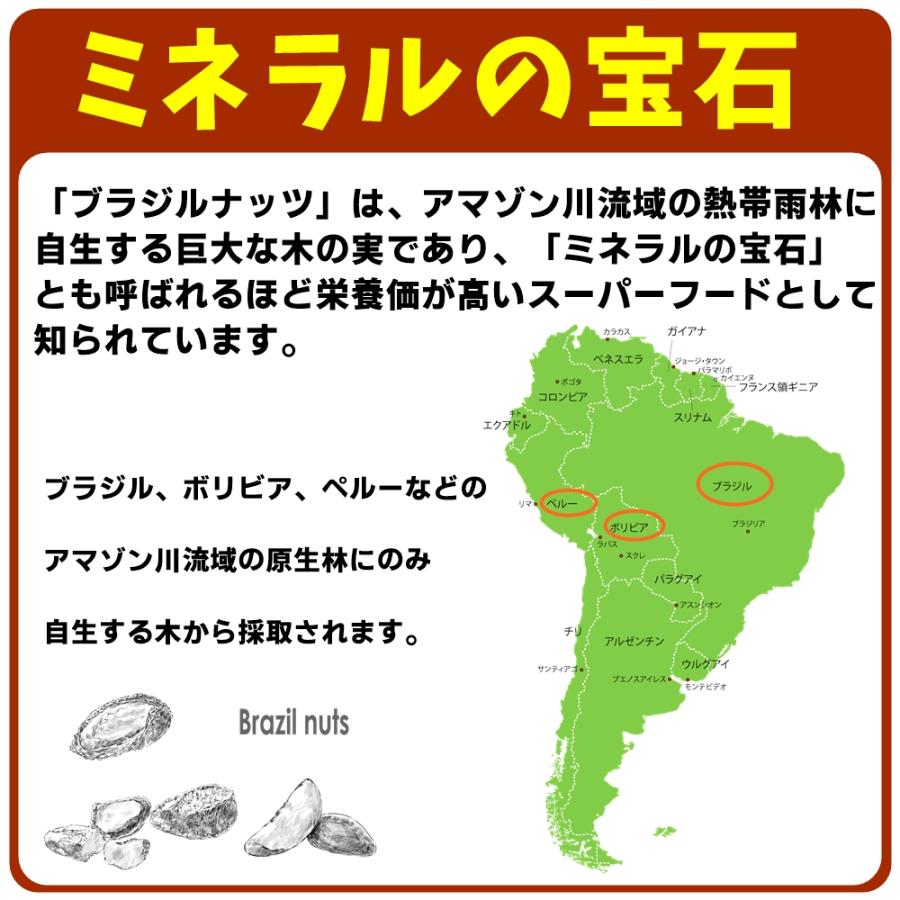 ブラジルナッツ 300g 生タイプ 無添加・無塩 ジャングルナッツ