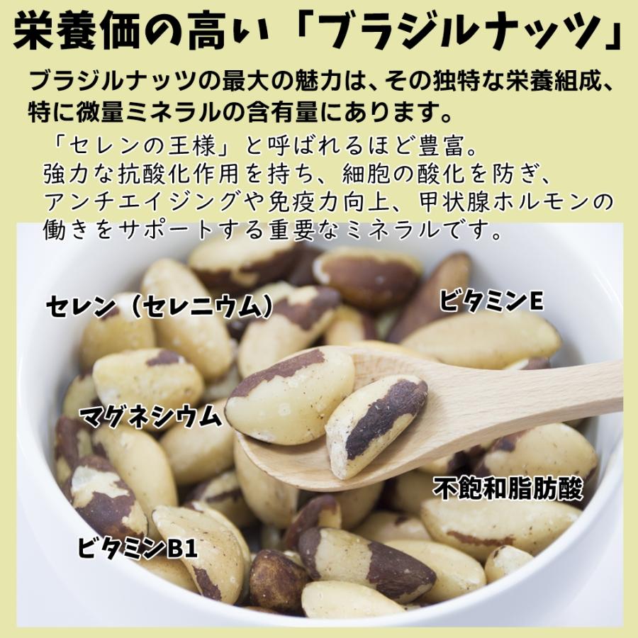 ブラジルナッツ 300g 生タイプ 無添加・無塩 ジャングルナッツ