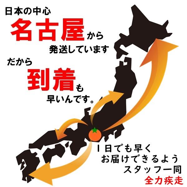 ドライいちじく 人気サイズ 700g 無添加 砂糖不使用 自然の恵みの