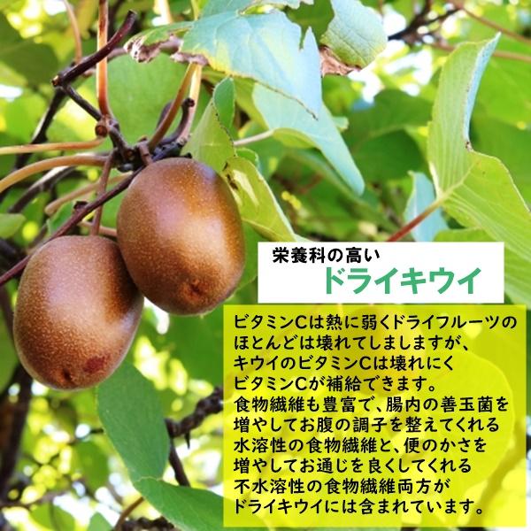 ドライキウイフルーツ 人気サイズ500g 着色料不使用 太陽の日差しを
