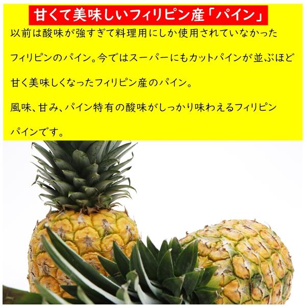 ドライパイン たっぷりサイズ 500g フィリピンの セブ島産 完熟パイン