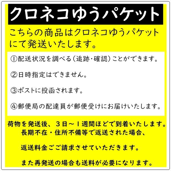 ドライパイン たっぷりサイズ 500g フィリピンの セブ島産 完熟パイン使用 半生タイプ クロネコゆうパケット０便発送｜kanayamatomato｜09