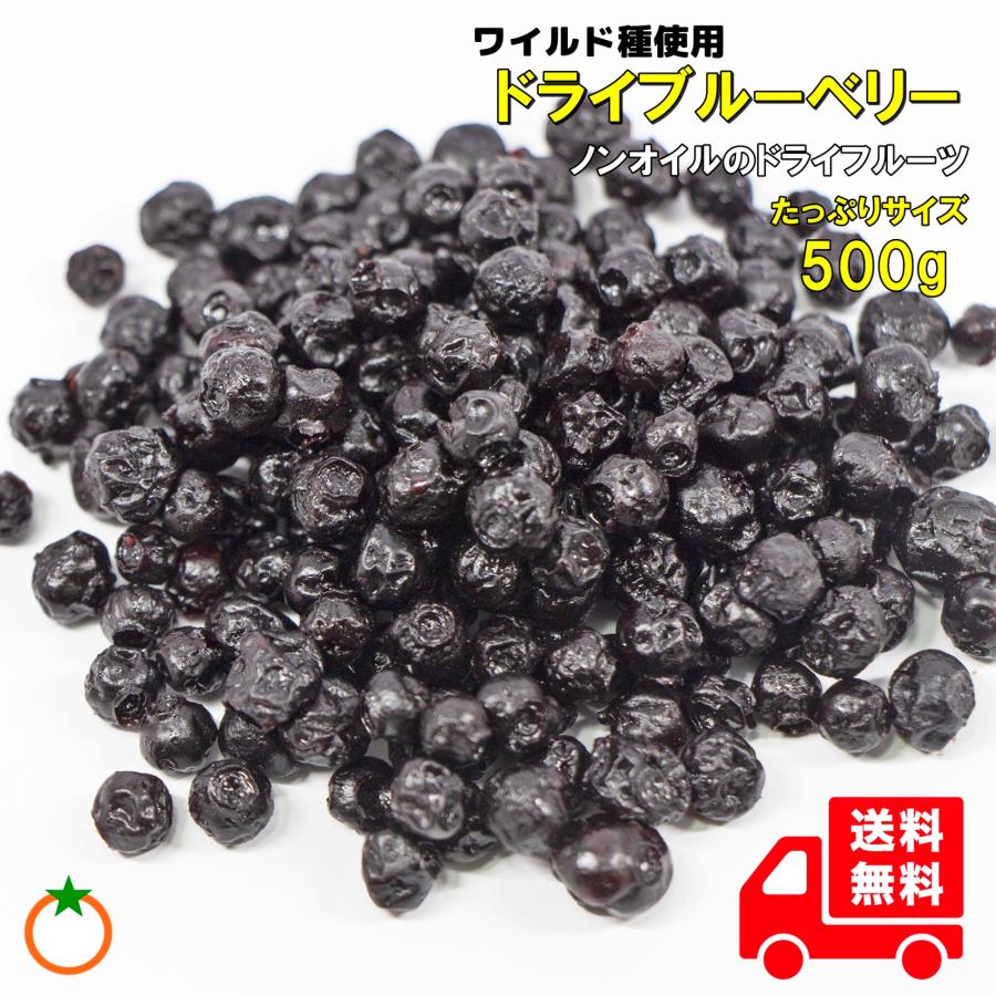ドライブルーベリー たっぷりサイズ 500g ノンオイル 野生種ワイルド
