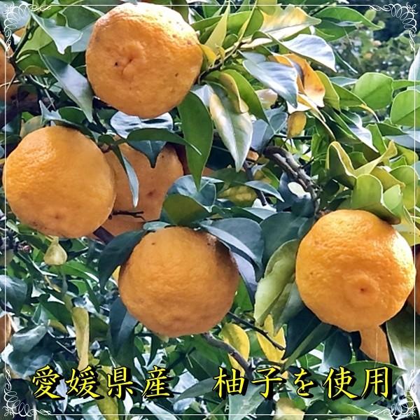 愛媛レモンピール300g×5 柚子ピール×1 国産 柚子ピール たっぷりサイズ 500g 愛媛県産の柚子100％使用 メール