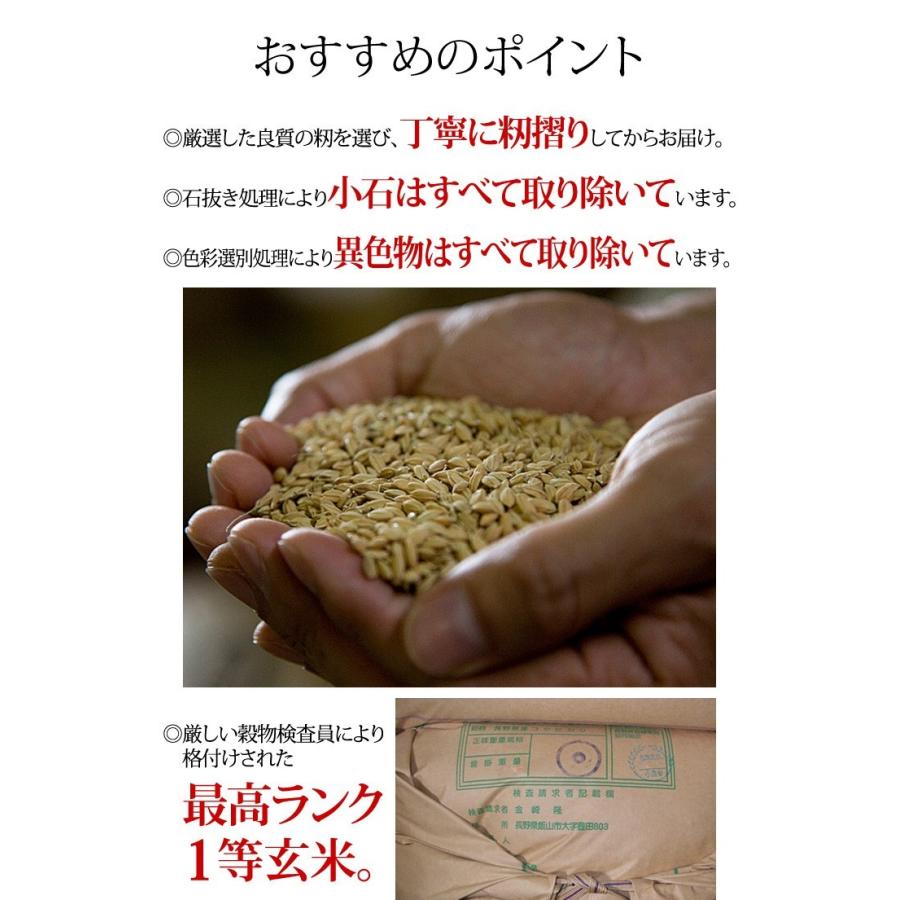 玄米 10kg 特別栽培米コシヒカリ 令和5年産 長野県飯山｜kanazaki｜02