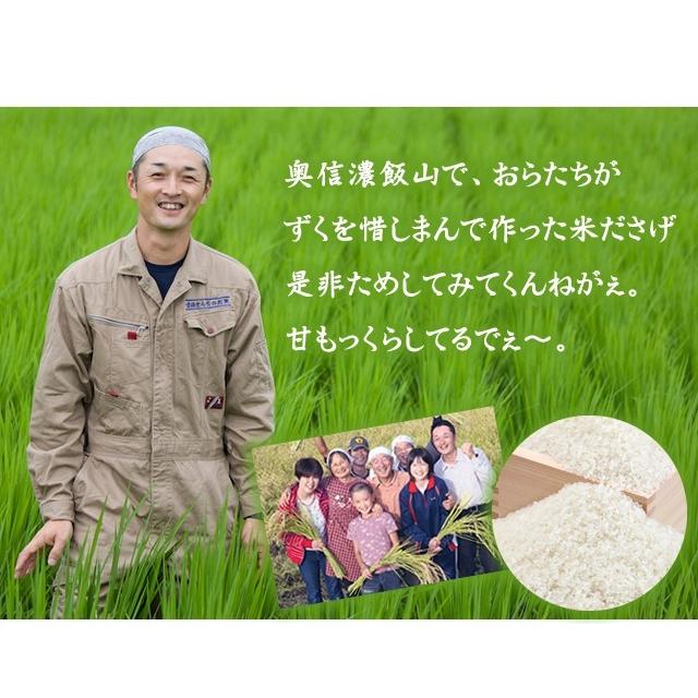 コシヒカリ お米 10kg 特別栽培米コシヒカリ 令和6年産 長野県 コシヒカリ お米 10kg 特別栽培米コシヒカリ 令和6年産 長野県