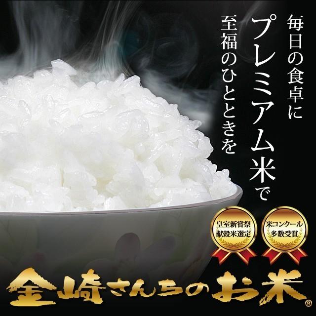 お米 30kg 特別栽培米コシヒカリ 令和5年産 紙袋入 : m30 : 金崎さん