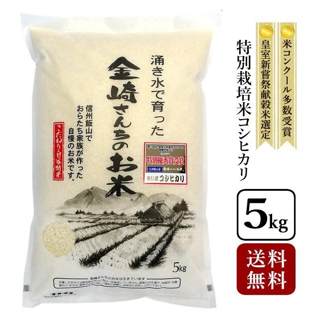 コシヒカリ お米 5kg 特別栽培米コシヒカリ 令和6年産 長野県 コシヒカリ お米 5kg 特別栽培米コシヒカリ 令和6年産 長野県
