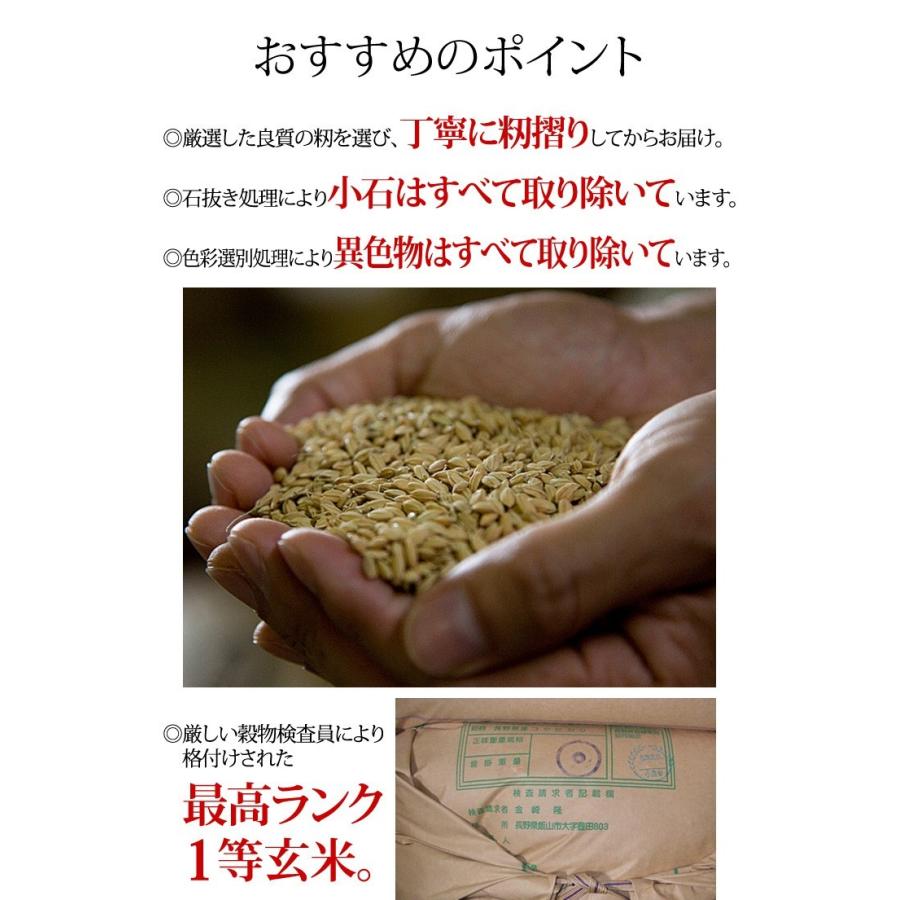 コシヒカリ 玄米 5kg 特別栽培米コシヒカリ 令和6年産 長野県 コシヒカリ 玄米 5kg 特別栽培米コシヒカリ 令和6年産 長野県
