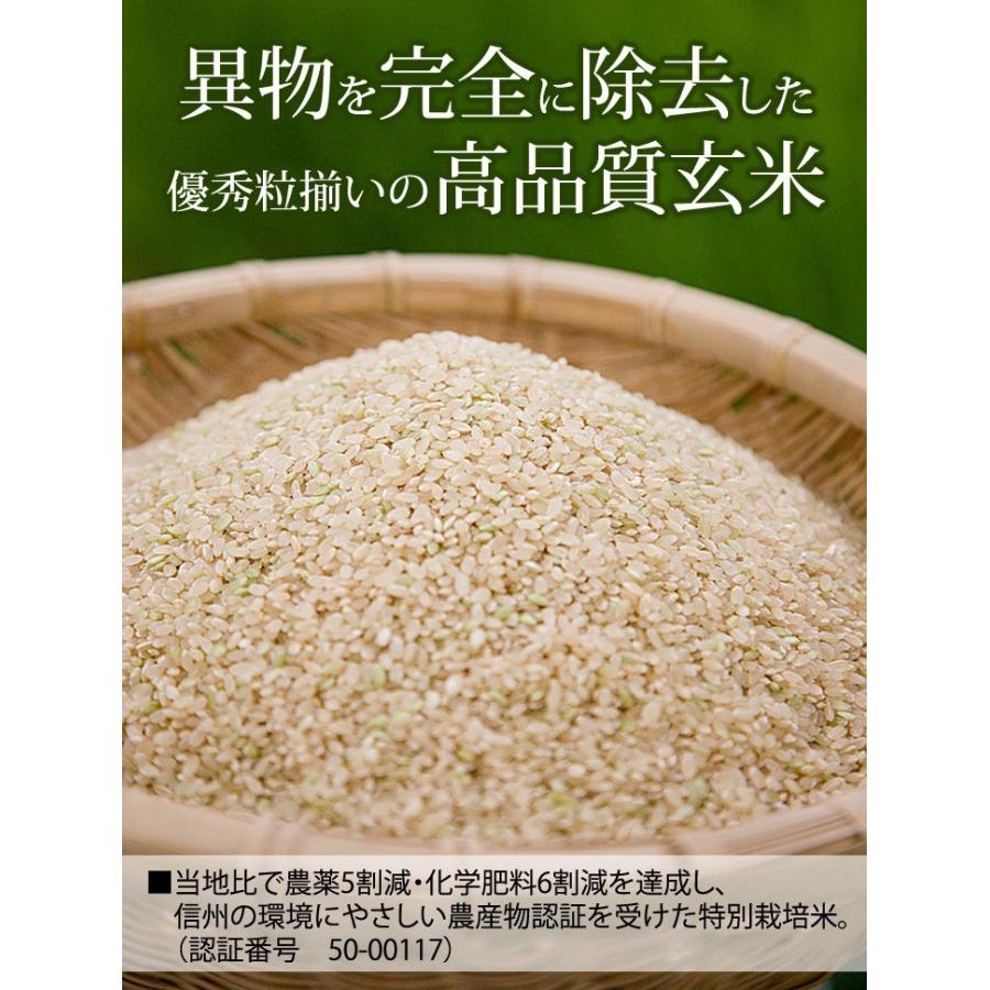 玄米 5kg 特別栽培米コシヒカリ 令和5年産 真空パック 1kg×5袋｜kanazaki｜04