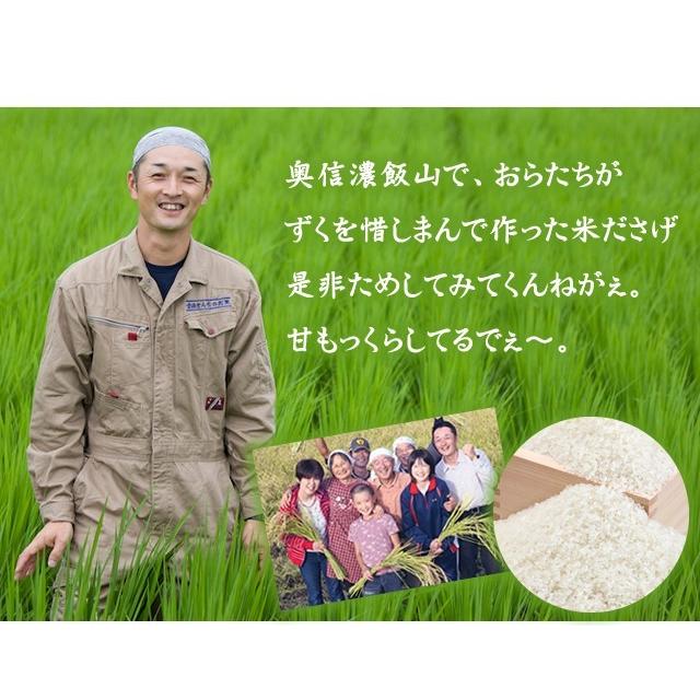 お米 9kg 特別栽培米コシヒカリ 令和5年産 真空パック 3kg×3袋｜kanazaki｜04