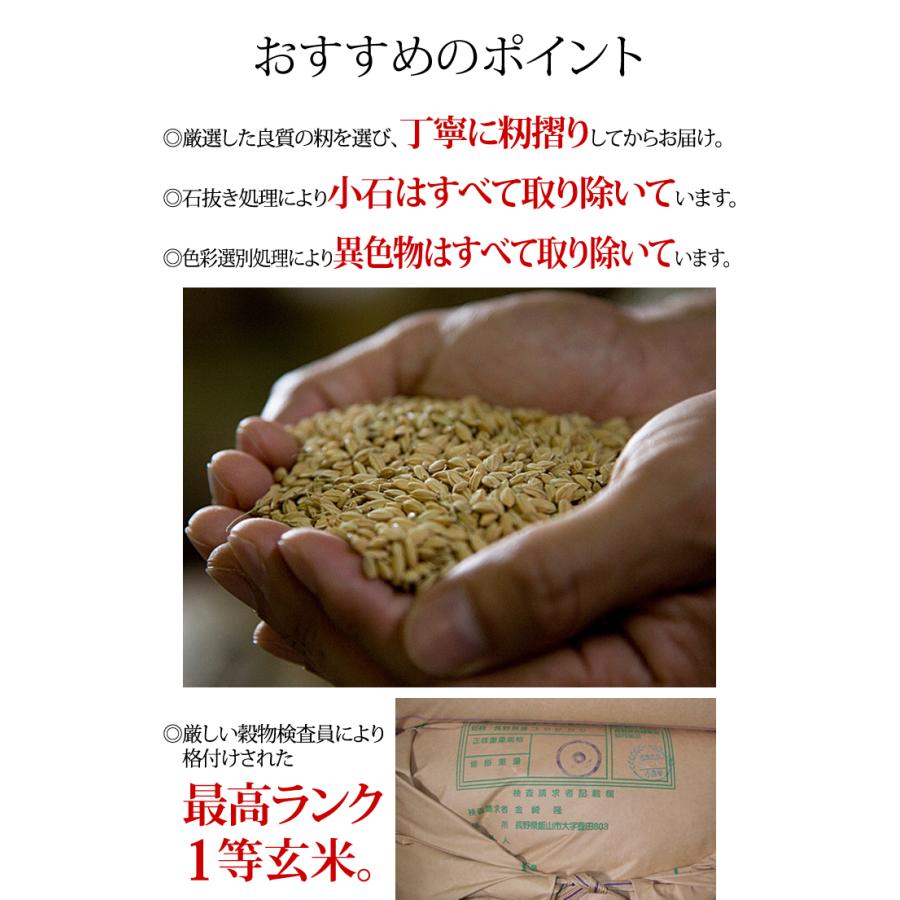 コシヒカリ 玄米 お米 9kg 特別栽培米コシヒカリ 令和7年産 真空パック
