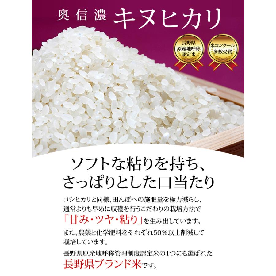 キヌヒカリ お米 10kg 奥信濃キヌヒカリ 令和7年産 空パック 1kg×10袋 