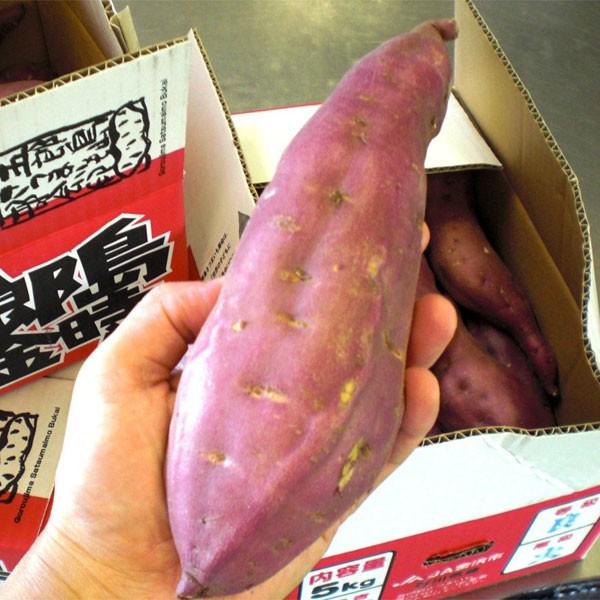 ≪よもぎ万頭 のと屋≫石川県産 五郎島金時使用 浮月（うきづき） 10個入【期間限定 さつまいも いもあん ココナッツパウダー お取寄せ 通販】 |  | 02