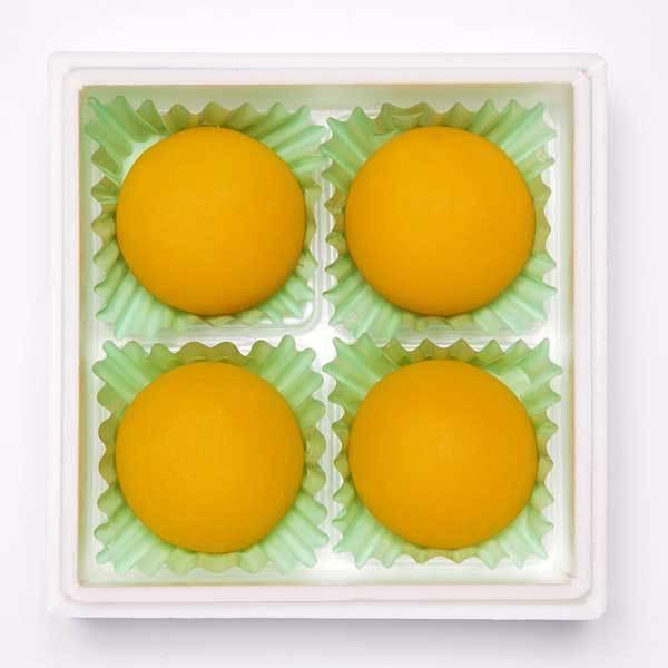 ≪菓匠 高木屋≫フルーティで贅沢な風味あんず餅 4個入り