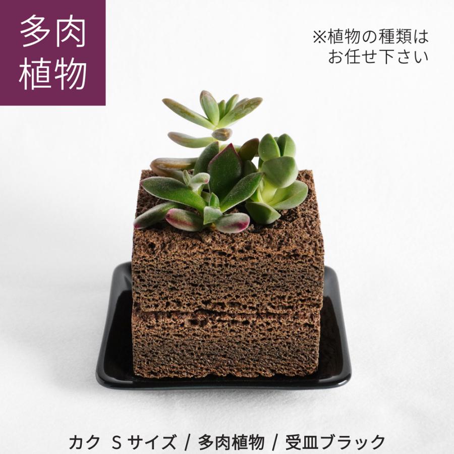 98762820_2