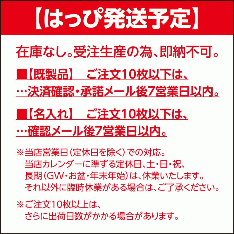 国産法被（既製品・大人用）パーティー用はっぴ 俺が主役（ピンク・紺）男女兼用｜kanbankobo｜16