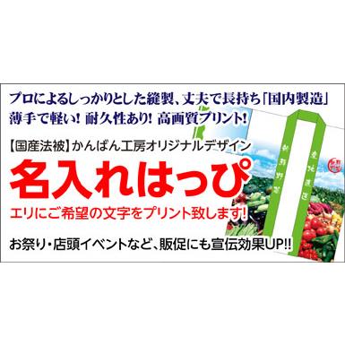 国産法被（名入れ・子供用）園児祭りはっぴ （赤・青）耐久性有　☆おまけ付・送料無料｜kanbankobo｜16