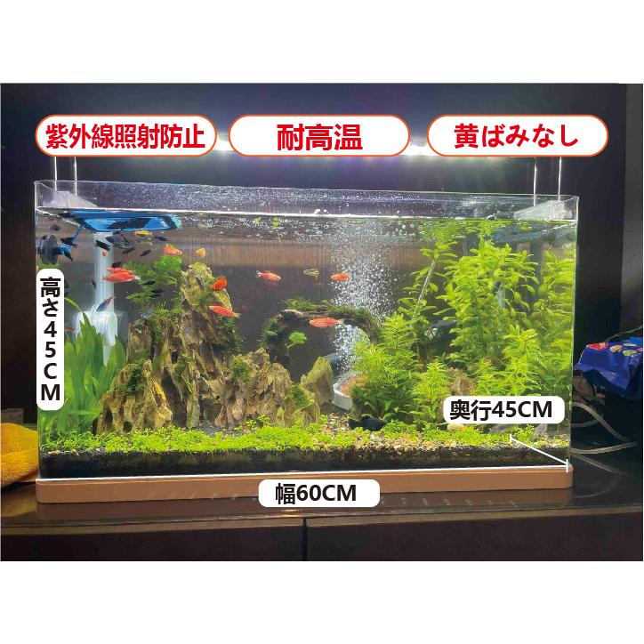 メダカ 水槽 熱帯魚 アクリル製水槽 幅600mm x 高450mm 奥450mm メダカ 水槽 熱帯魚 アクリル製水槽 幅600mm x 高450mm 奥450mm