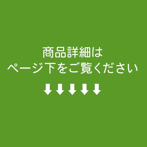 黒板 薄型ボード 1cm単位でサイズ製作 マグネット 枠なし 特注 DIY 壁 壁掛け チョーク マーカー ブラックボード ホワイトボード パネル 【大型商品】｜kanbanshop｜02